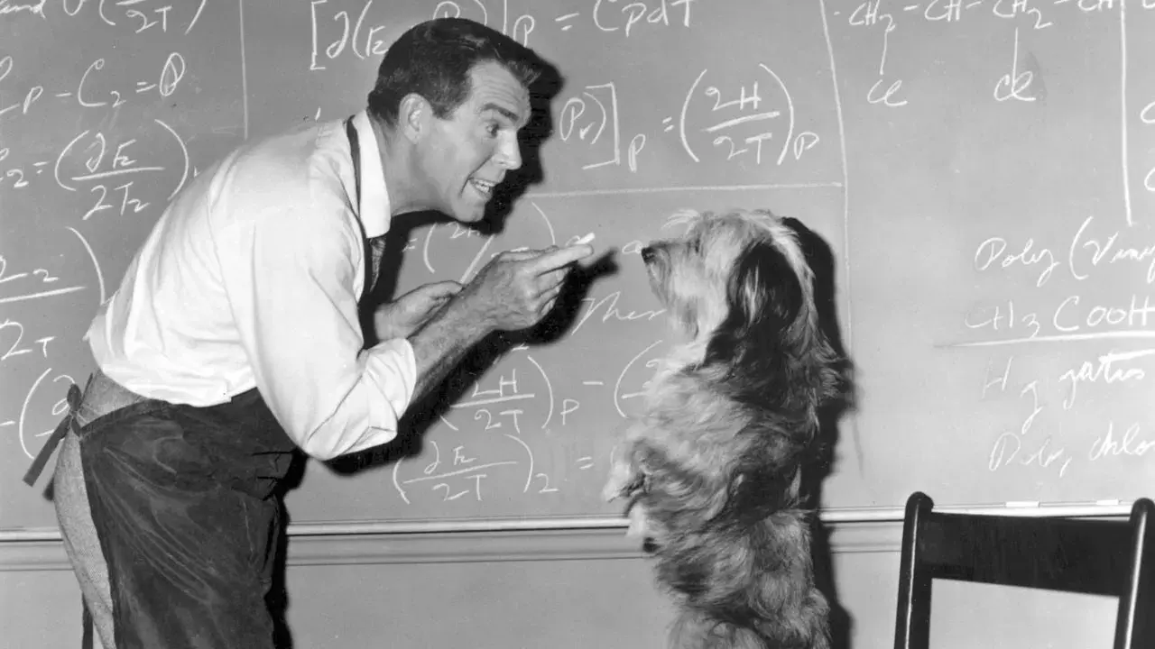 O Fantástico Super-Homem