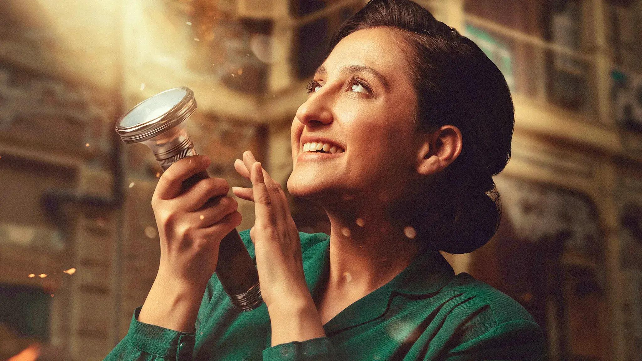 Você Já Viu Vagalumes?