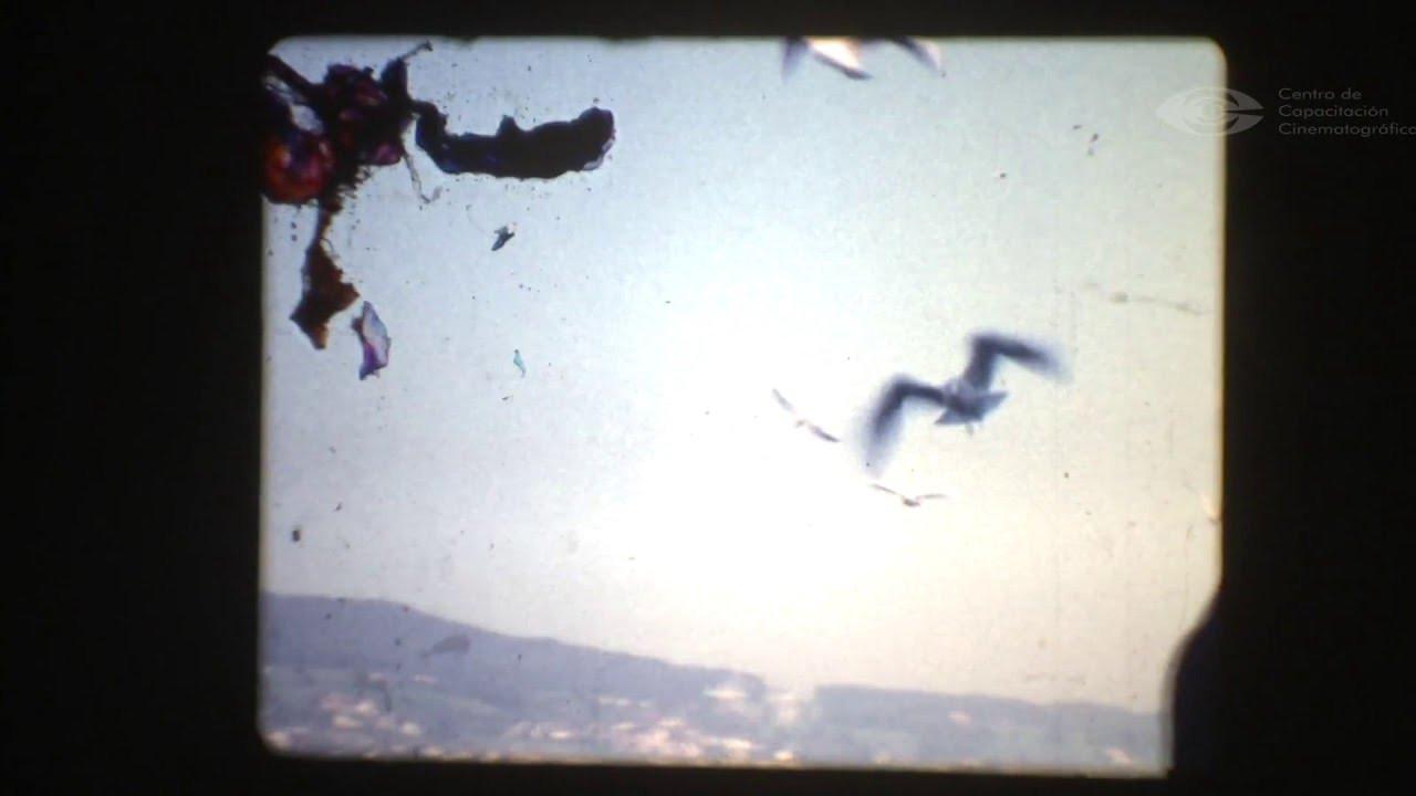 La casa de los Lupulos