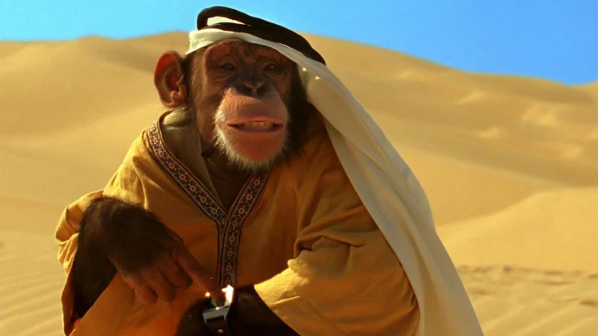 Spymate: O Agente Animal