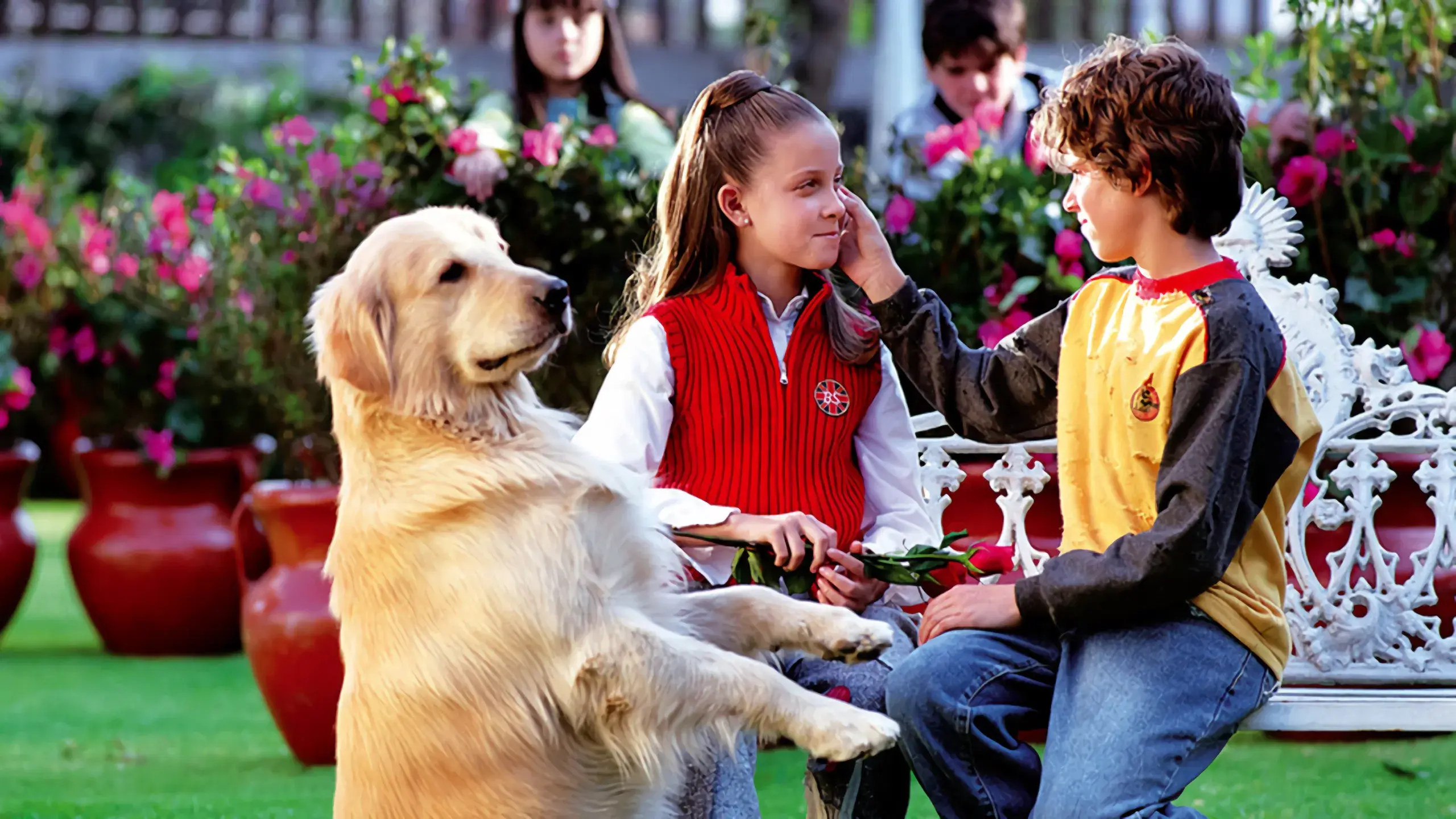 Poucas, Poucas Pulgas