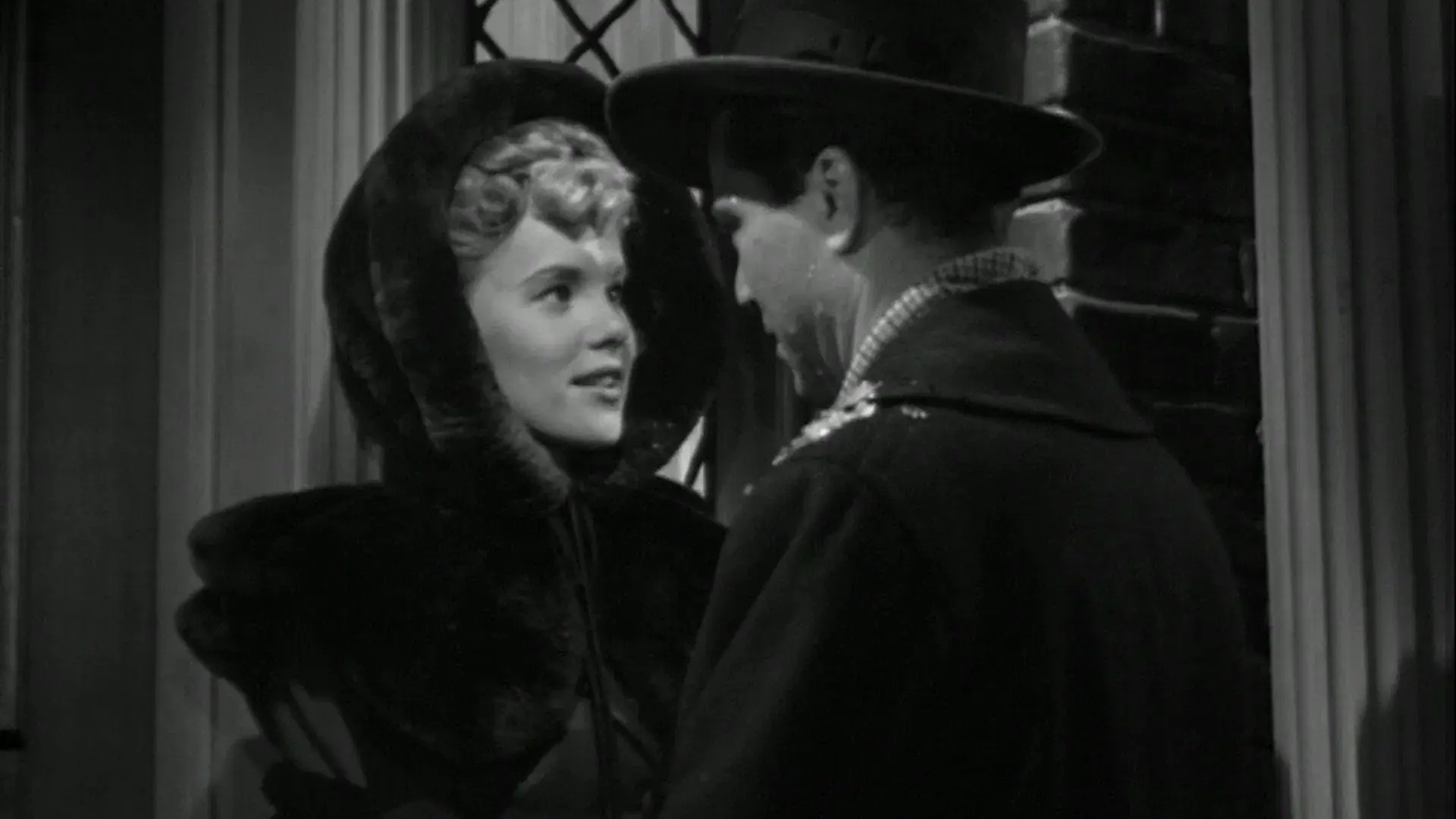 Tenho Direito ao Amor