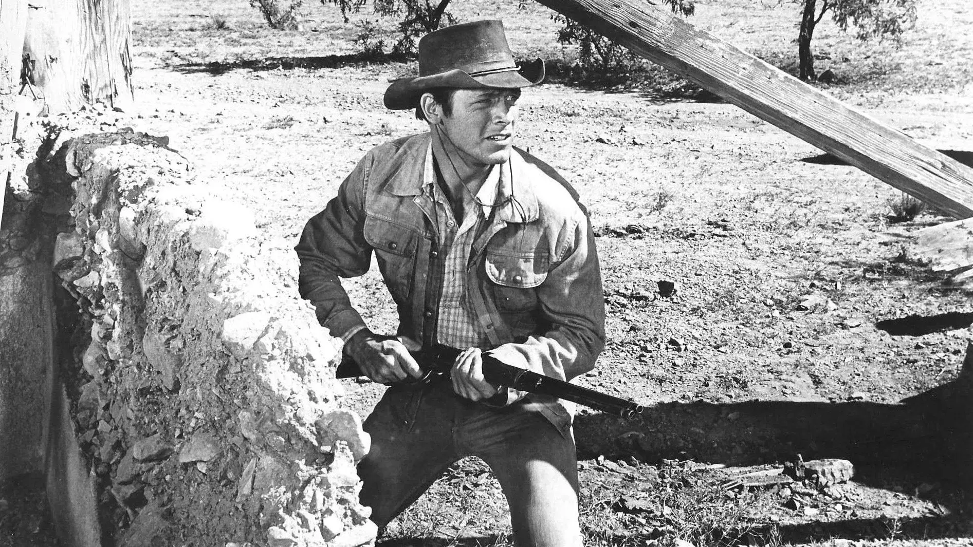 A Volta do Pistoleiro