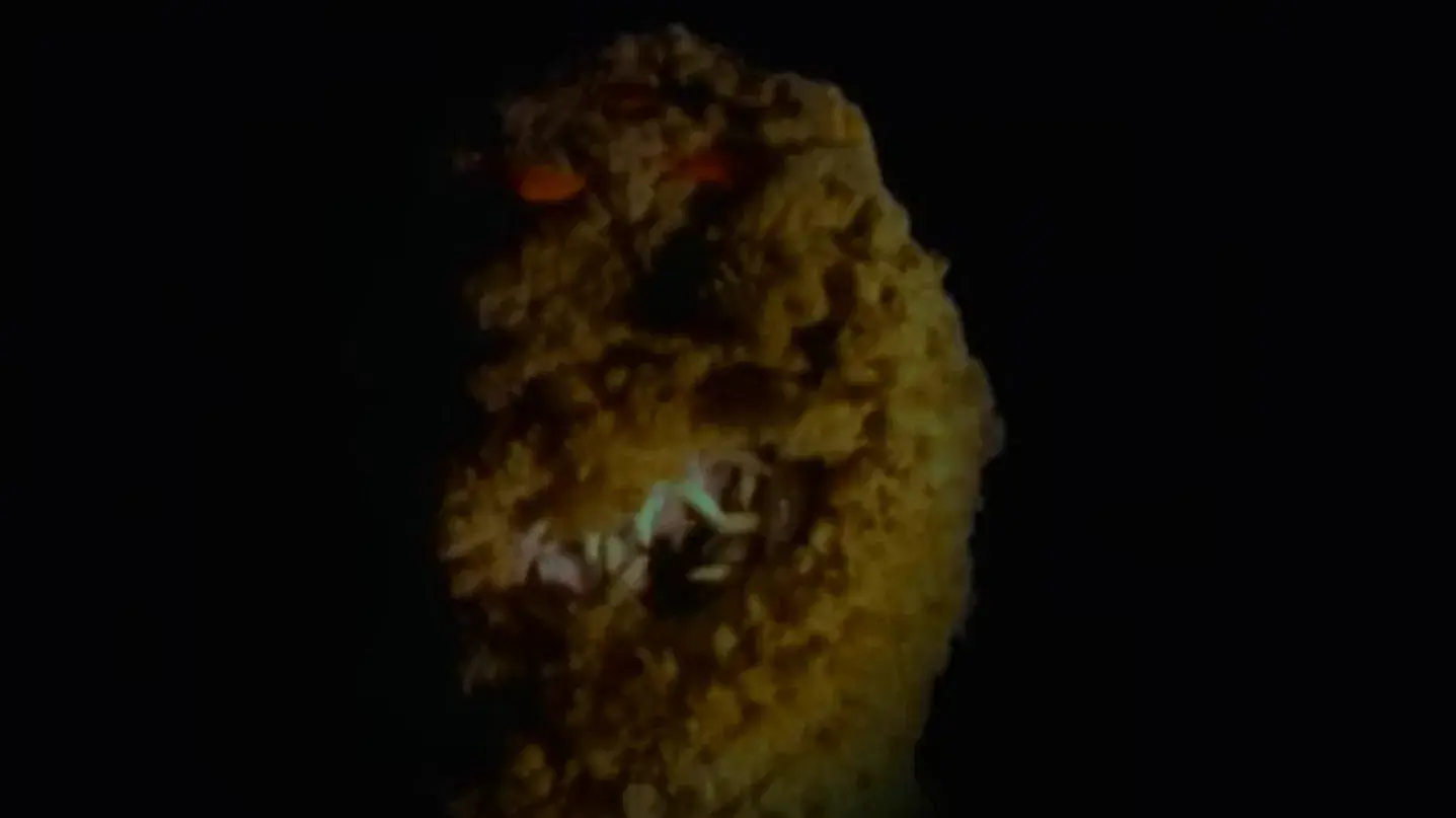 Goosebumps: It Came from Beneath the Sink