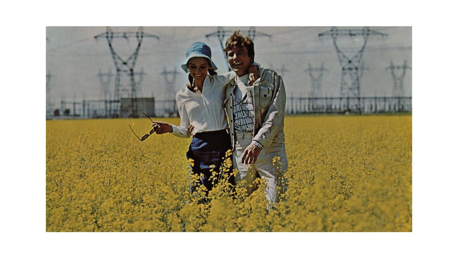 Um Caminho Para Dois