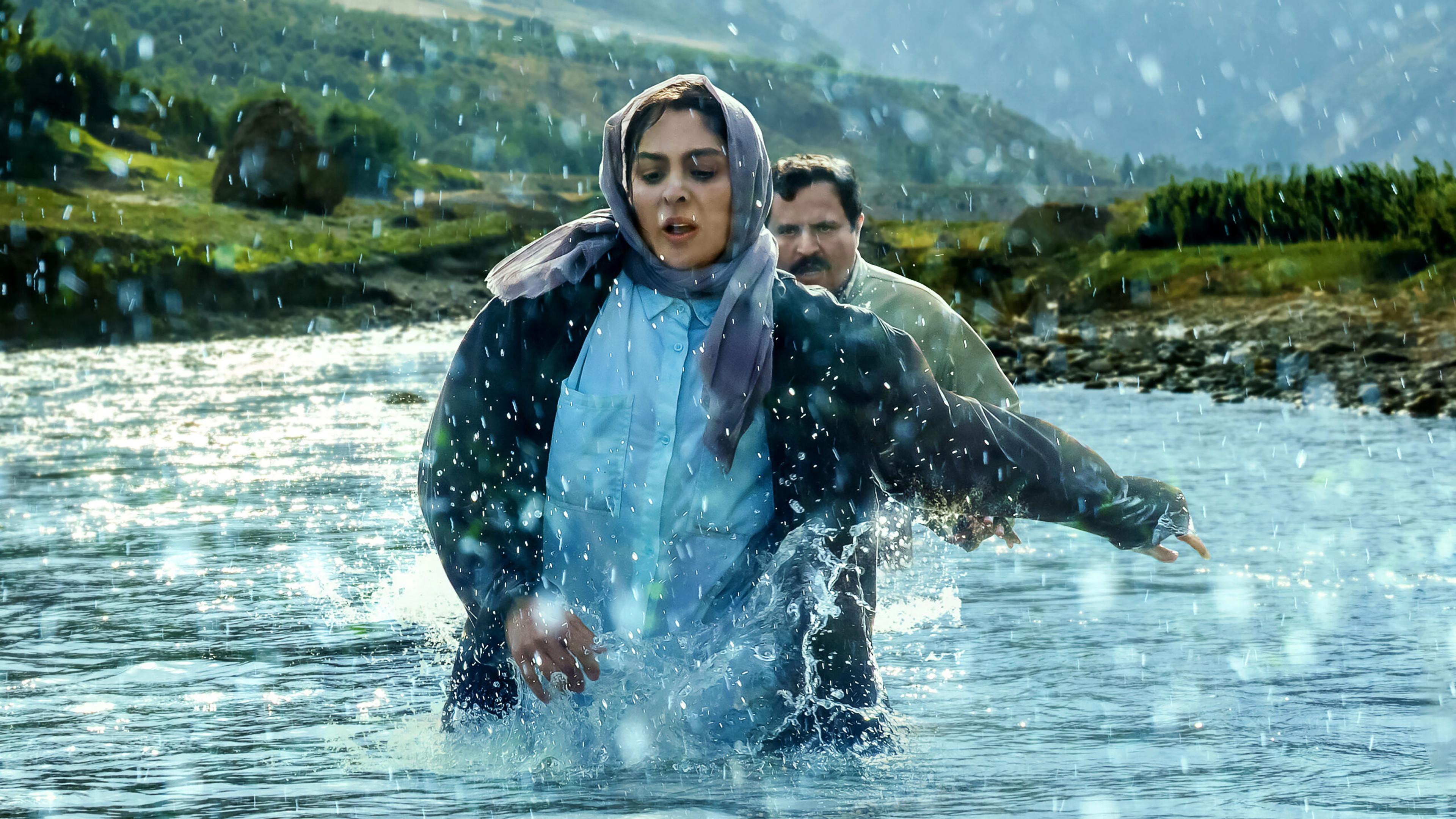 در آغوش درخت