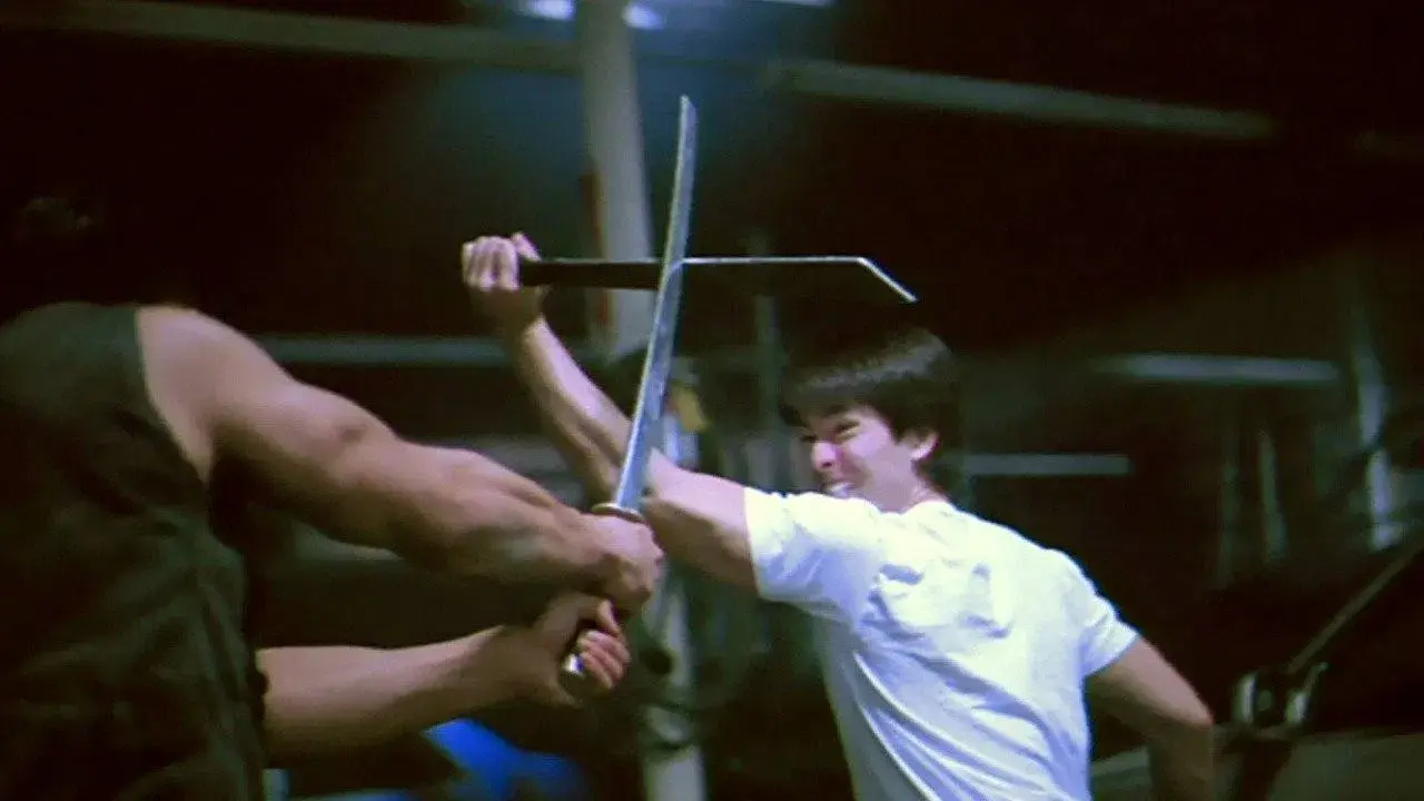 Dragão Negro: O Guerreiro das Sombras