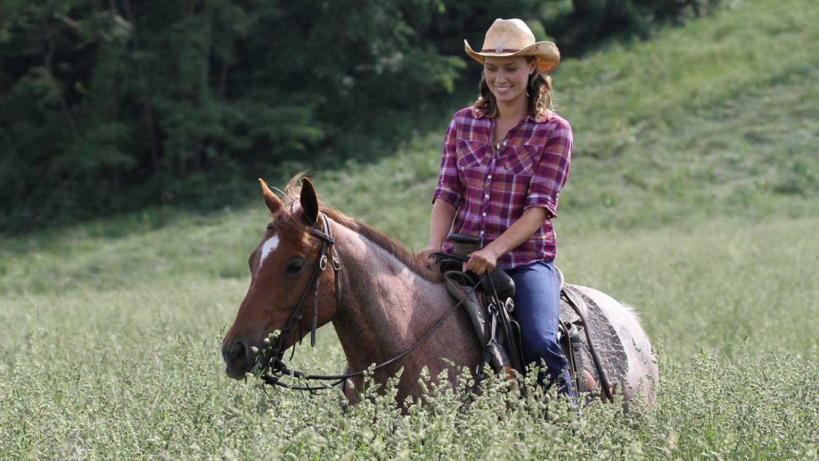 Encontrando o Amor em Nebraska