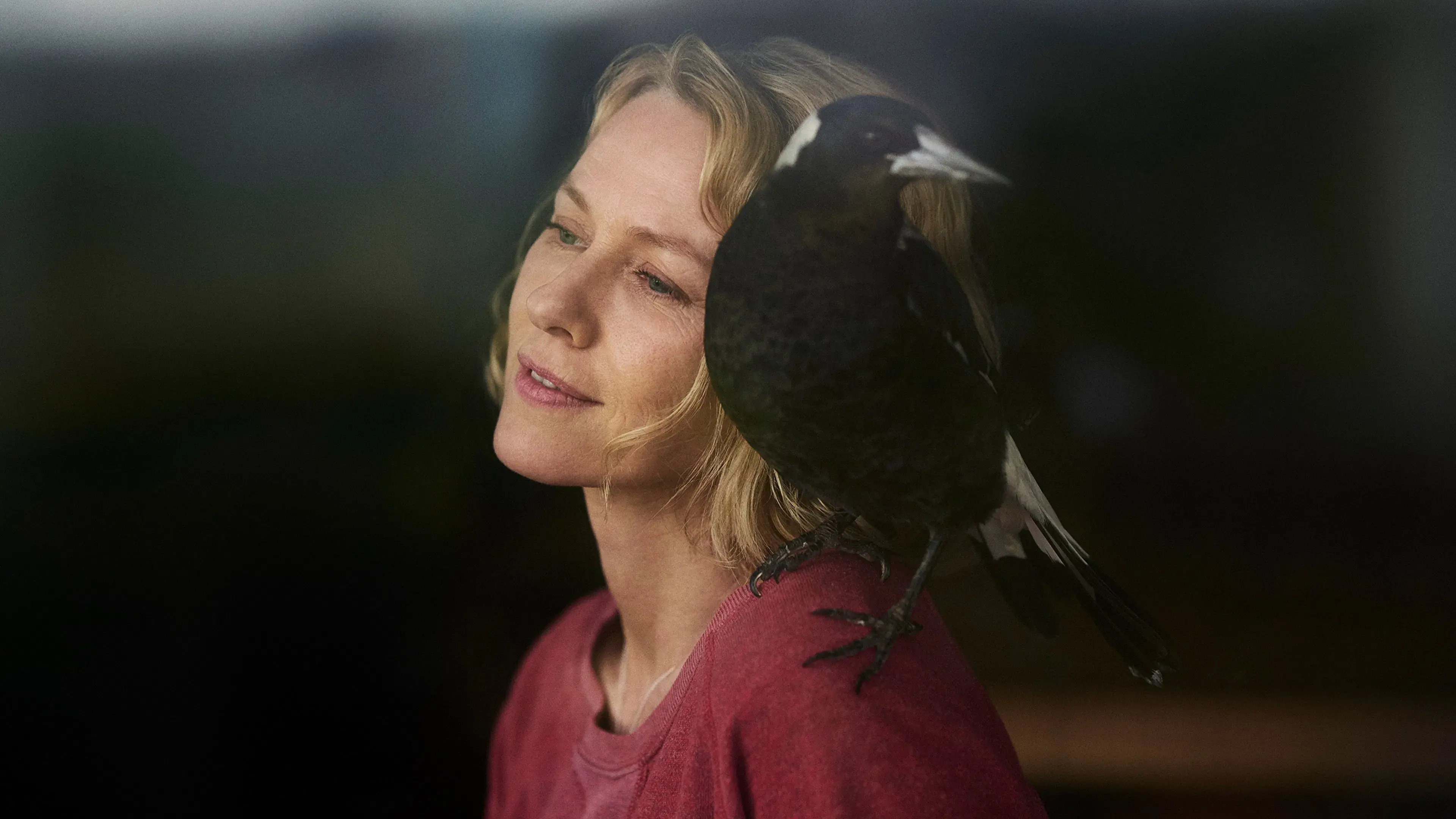 Um Milagre Inesperado