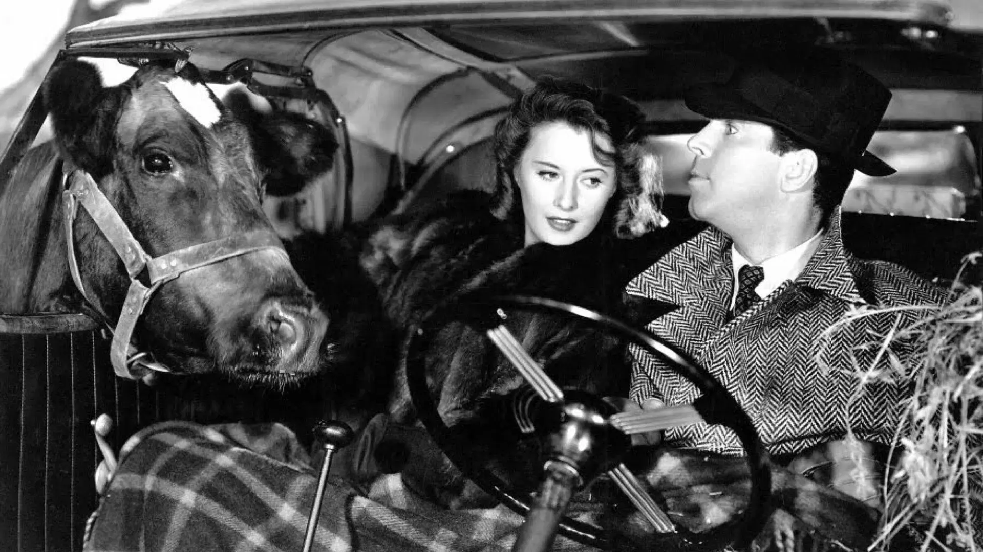 Lembra-se Daquela Noite?