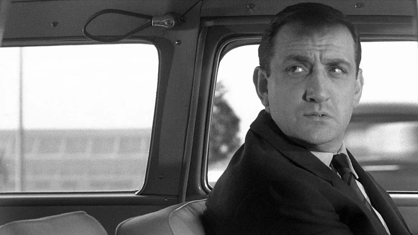 Como Fera Encurralada