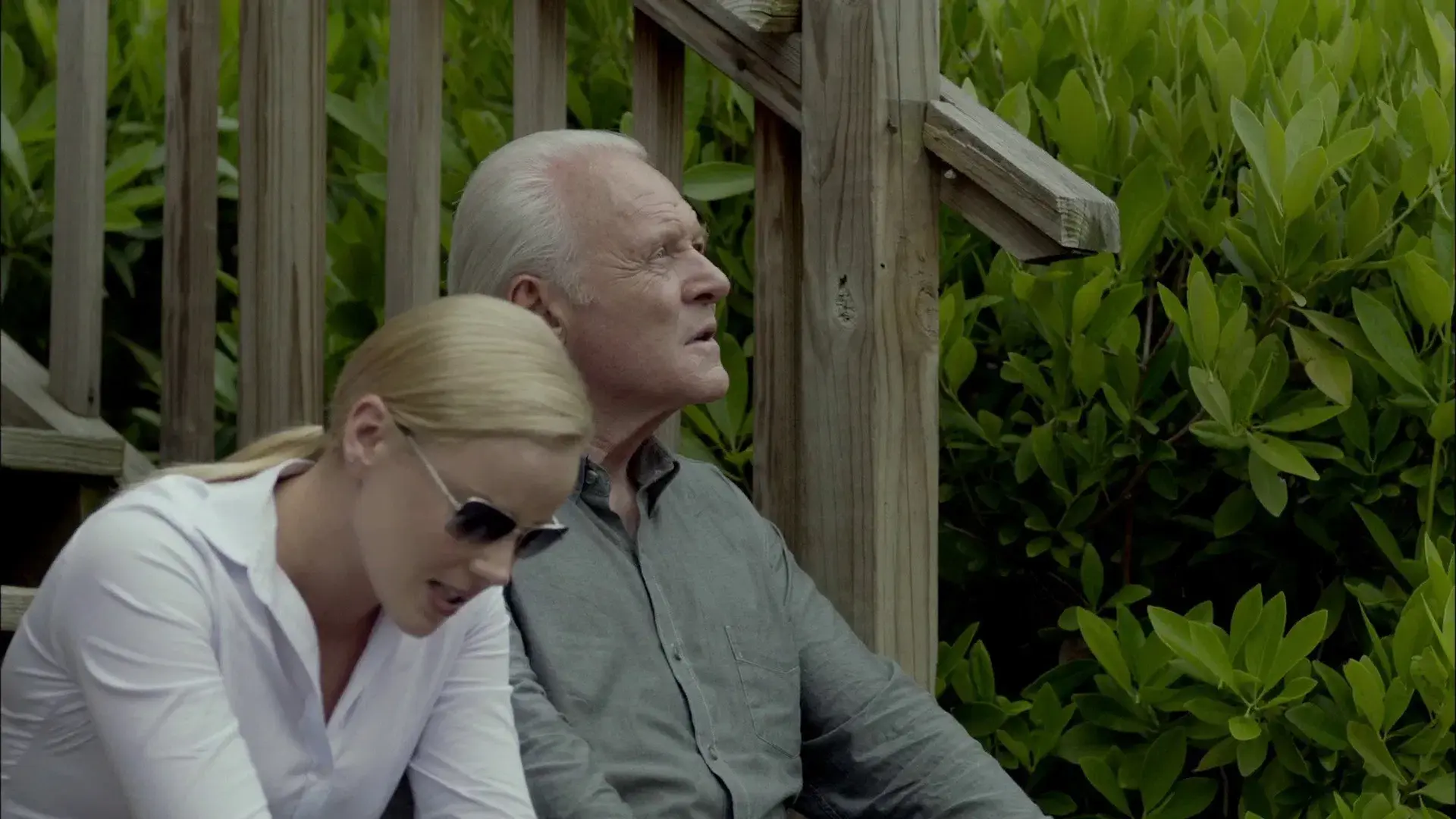 Presságios de um Crime