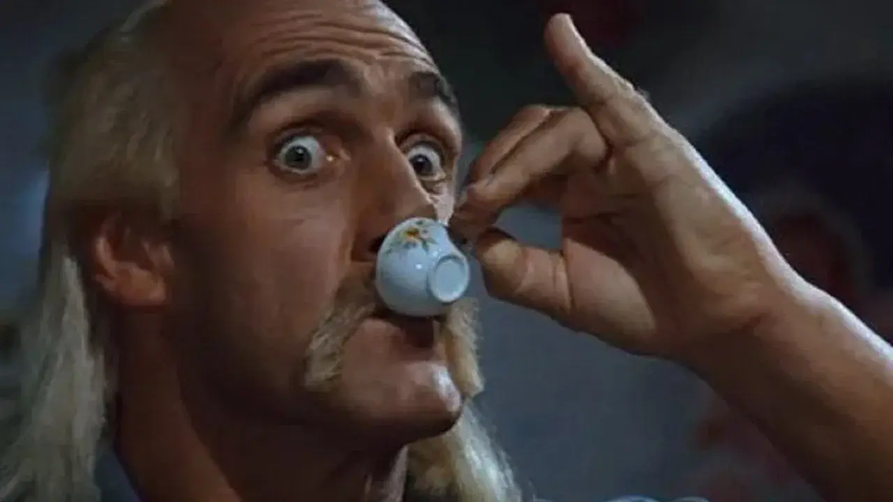 Mr. Nanny: Uma Babá de Peso