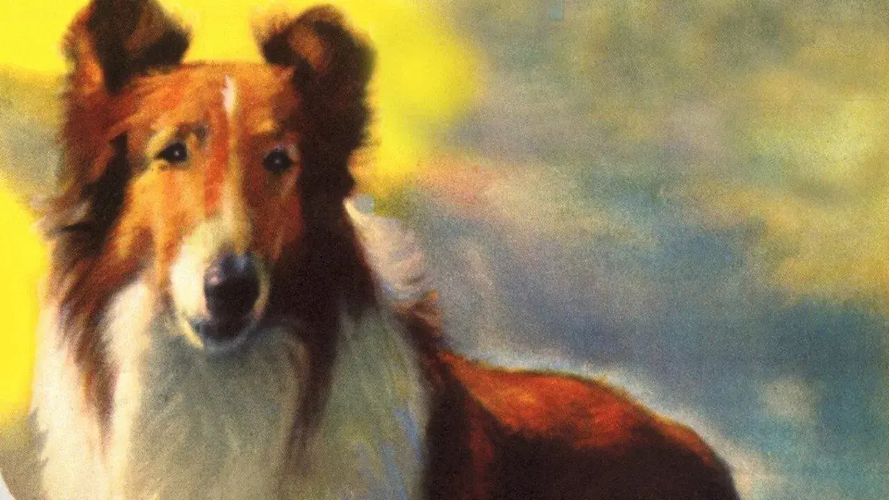 Lassie: Heróis da Montanha
