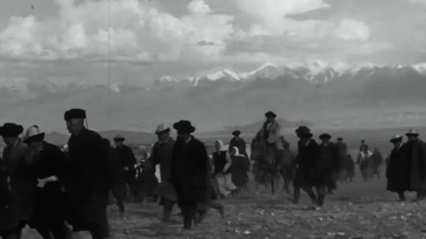 Материнское поле