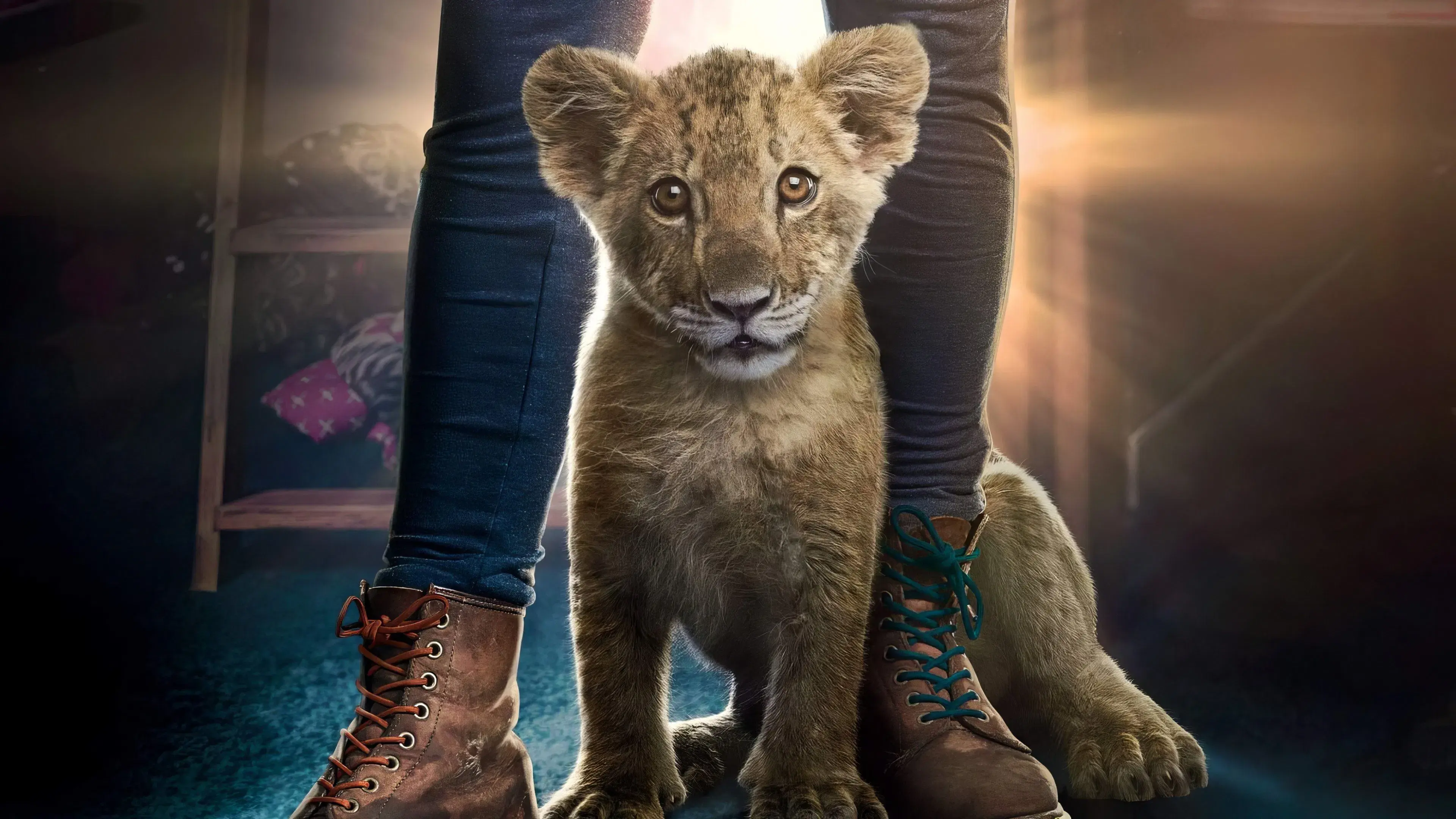 King - Meu Melhor Amigo