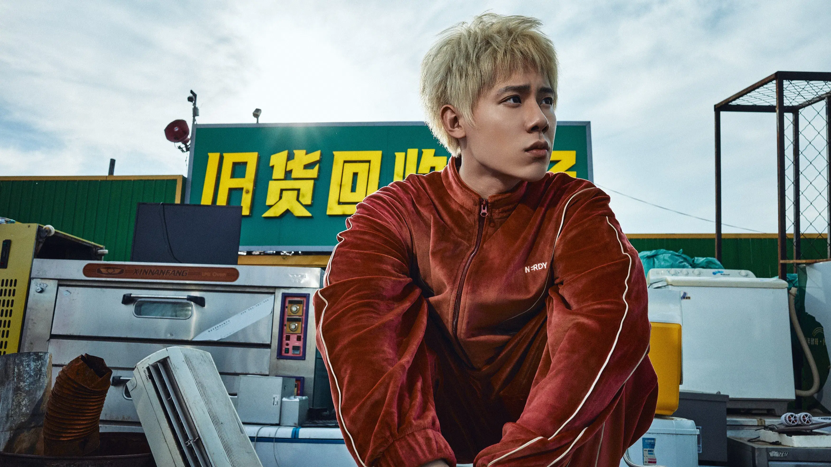 苍茫的天涯是我的爱