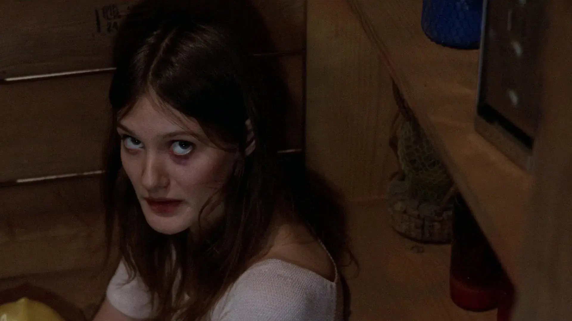 Hardcore: No Submundo do Sexo