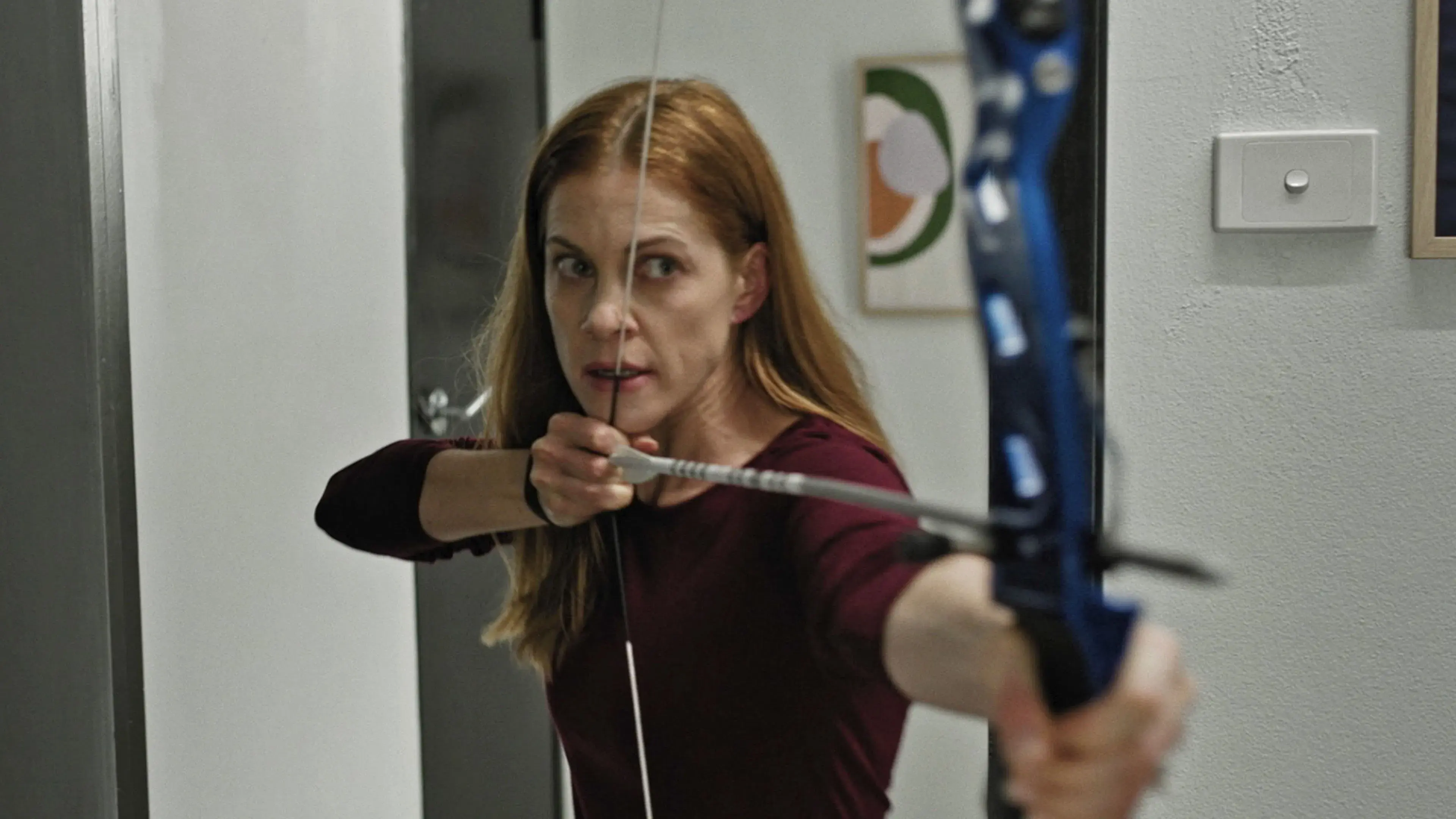 Flechas da Vingança