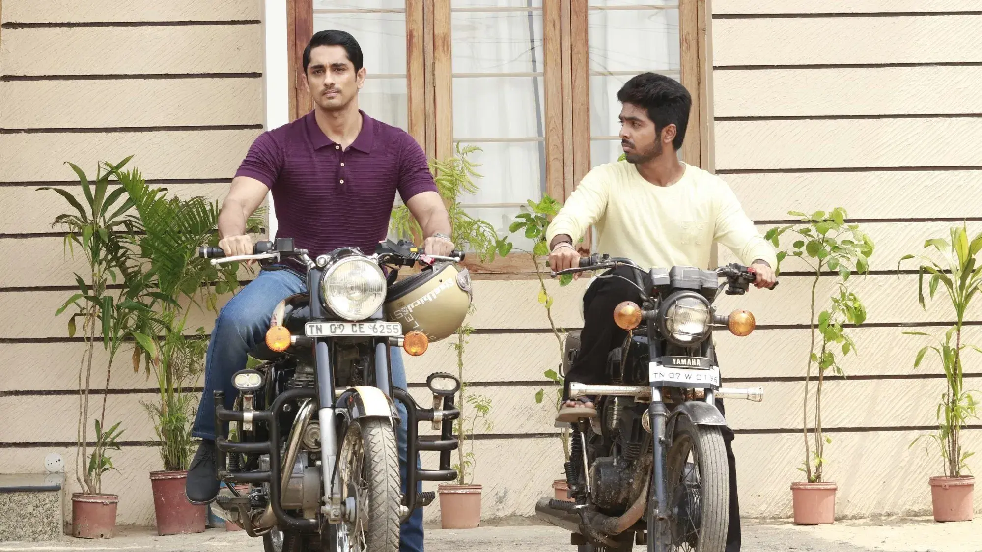 சிவப்பு மஞ்சள் பச்சை