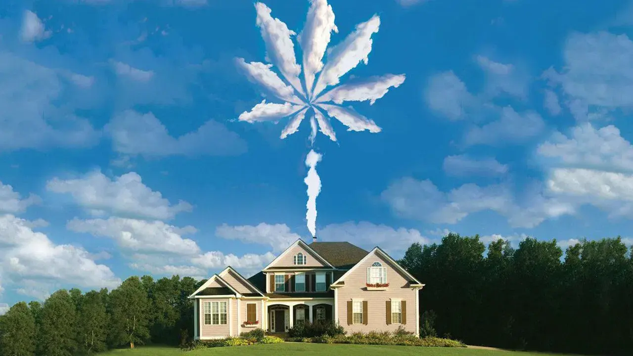 Uma Brisa de Família