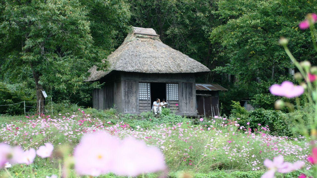 阿弥陀堂だより