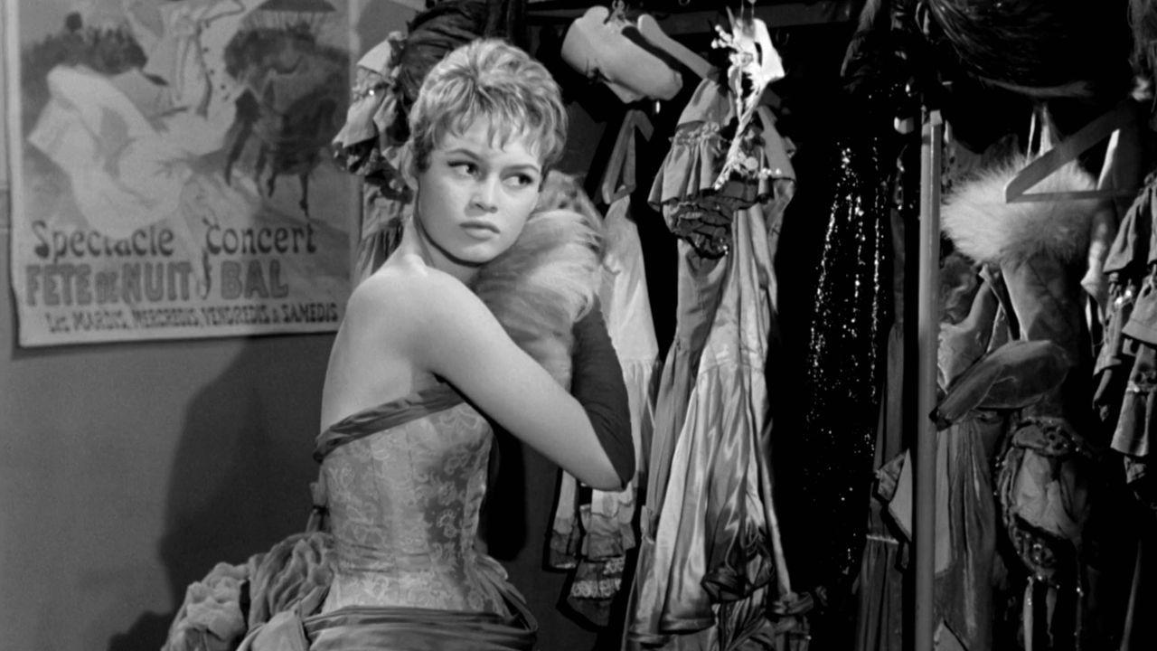 Desfolhando a Margarida