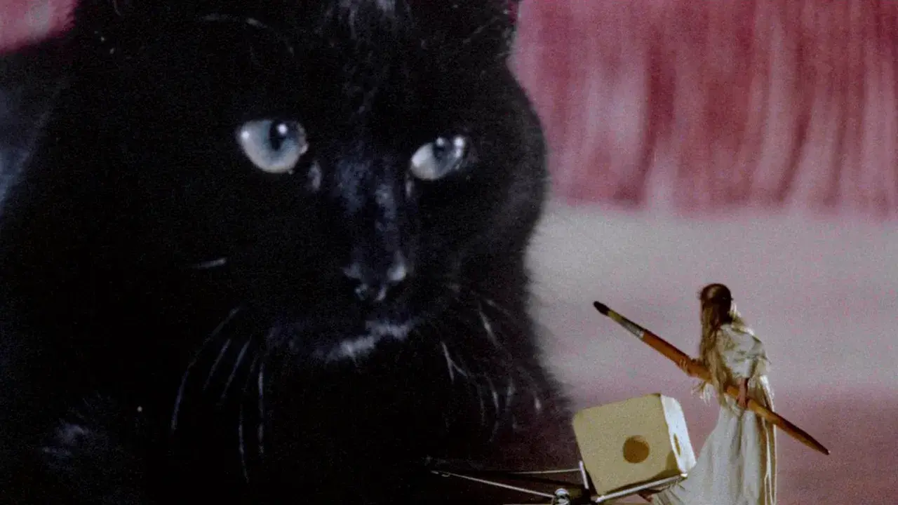 A Maldição dos Gatos