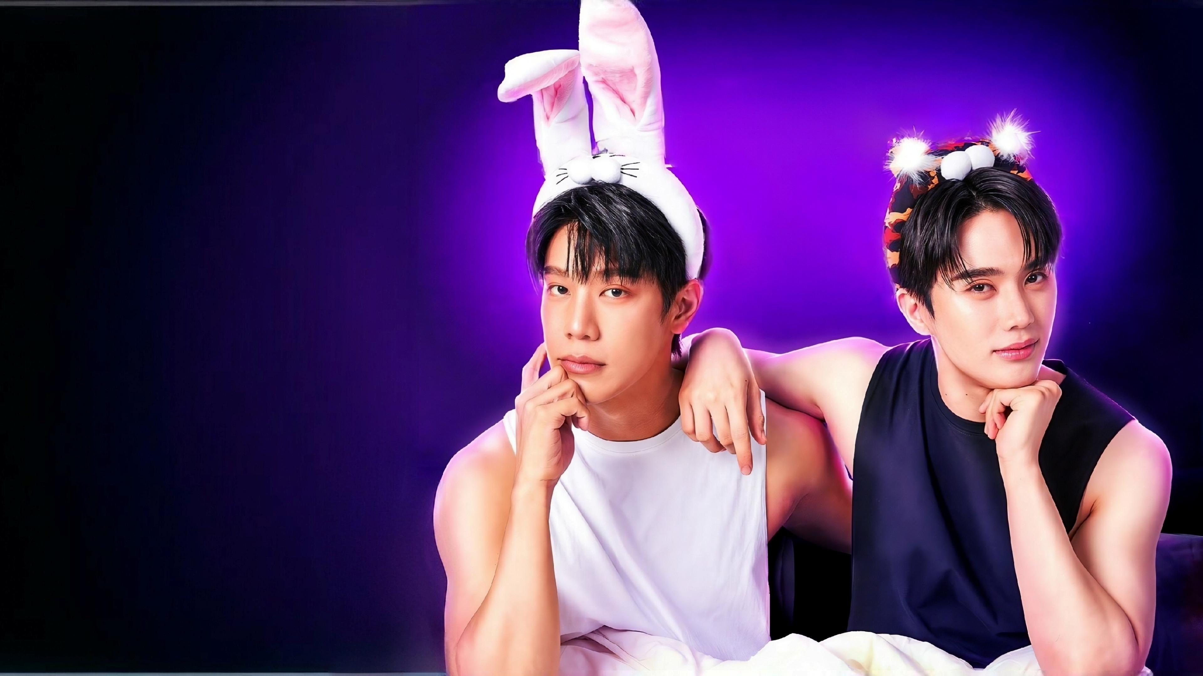 Oportunidade Colorida