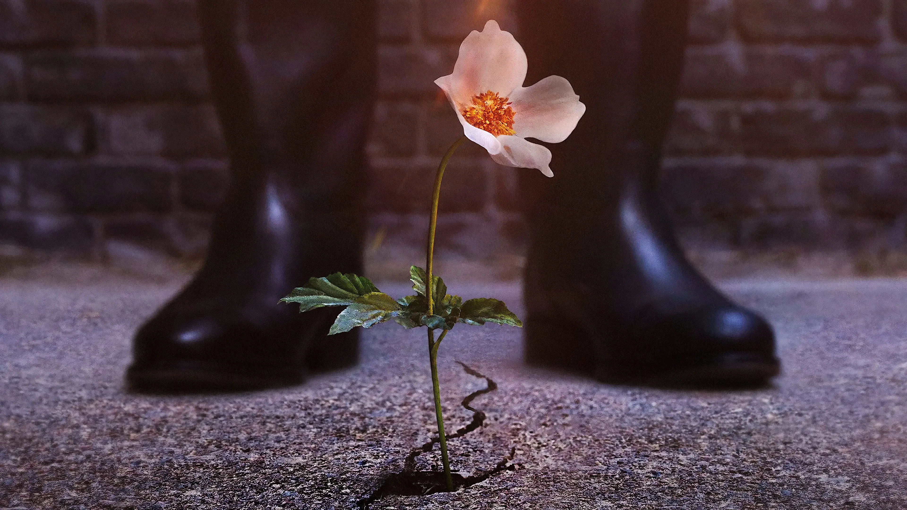 O Homem do Castelo Alto