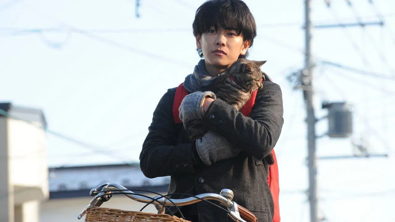 Se os Gatos Desaparecessem do Mundo