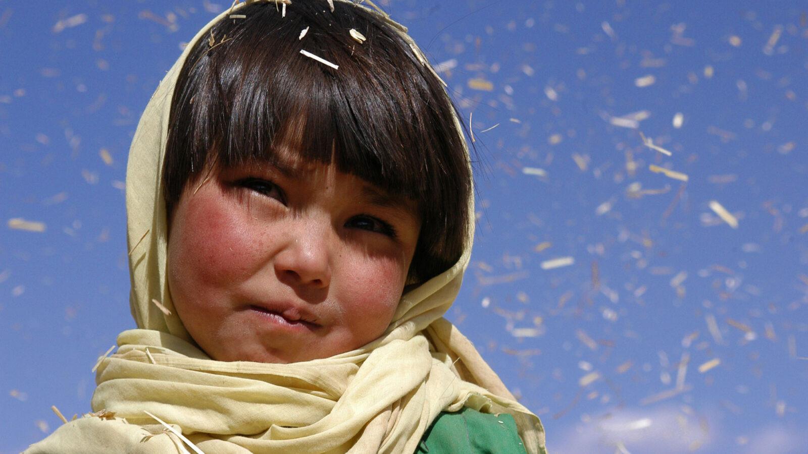 E Buda Desabou de Vergonha