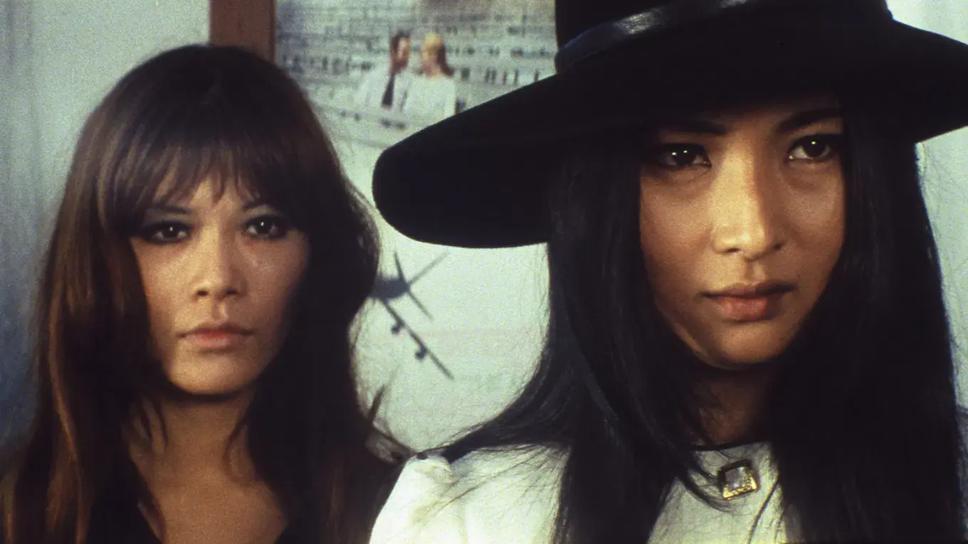 野良猫ロック　マシン・アニマル