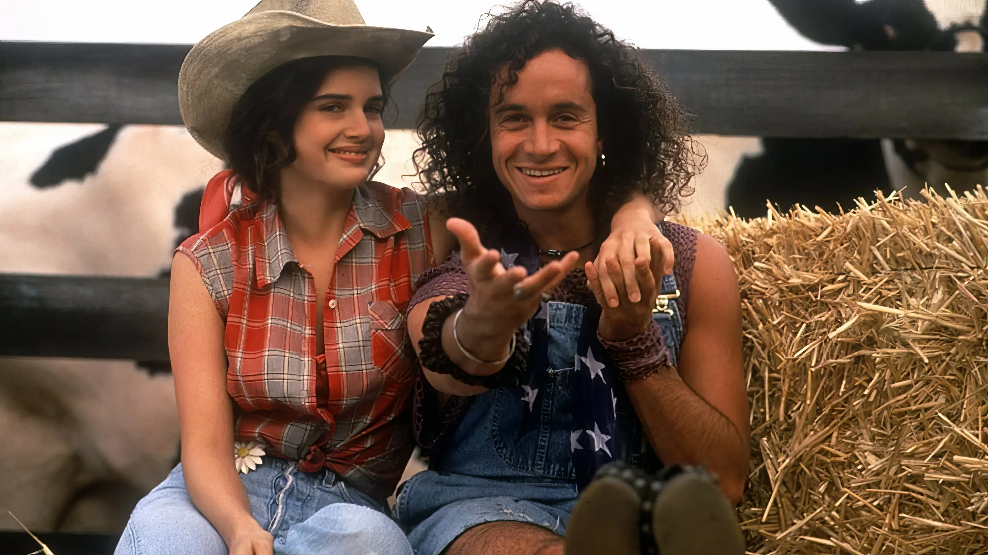 O Genro dos Meus Sonhos