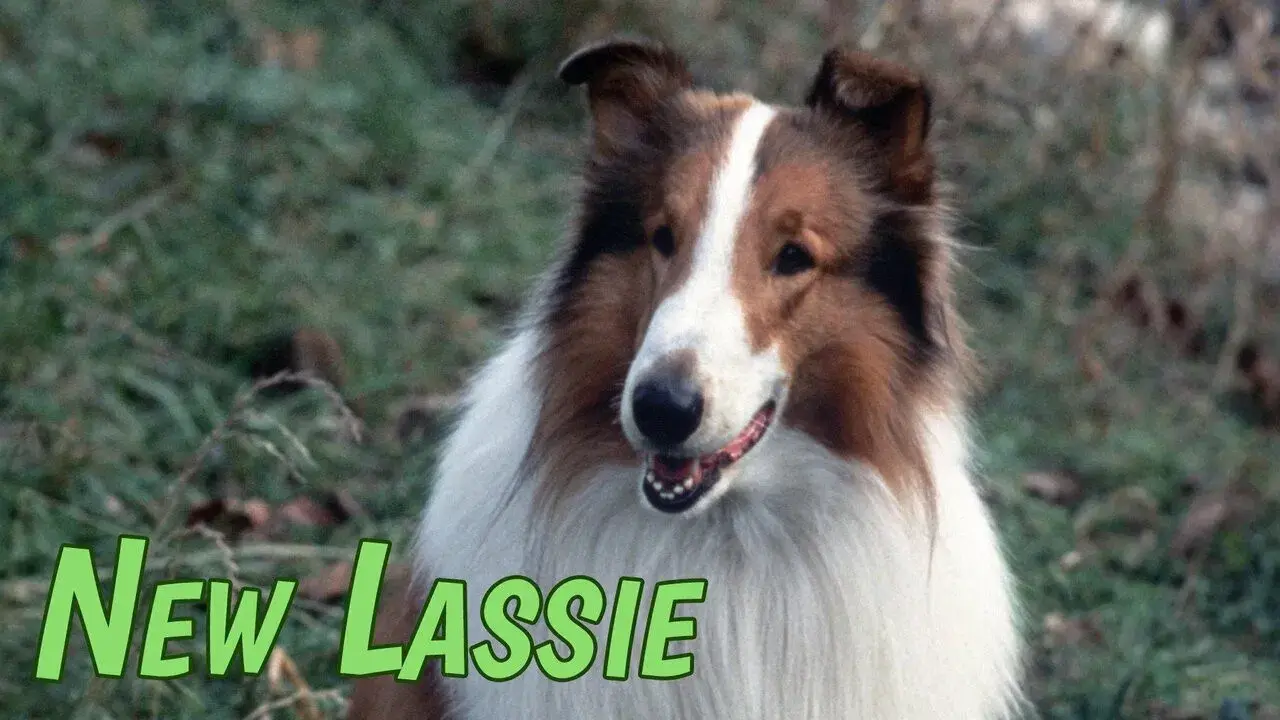 As Novas Aventuras de Lassie