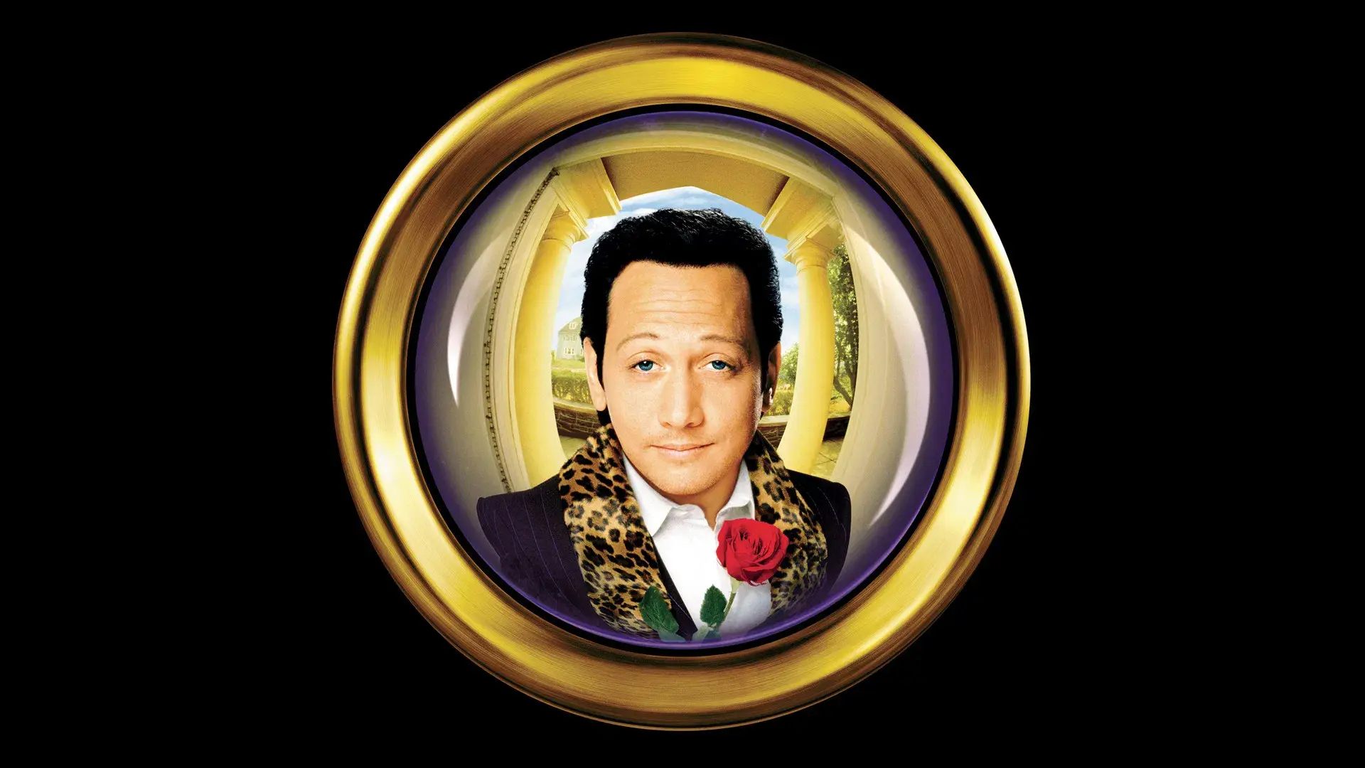 Gigolô por Acidente