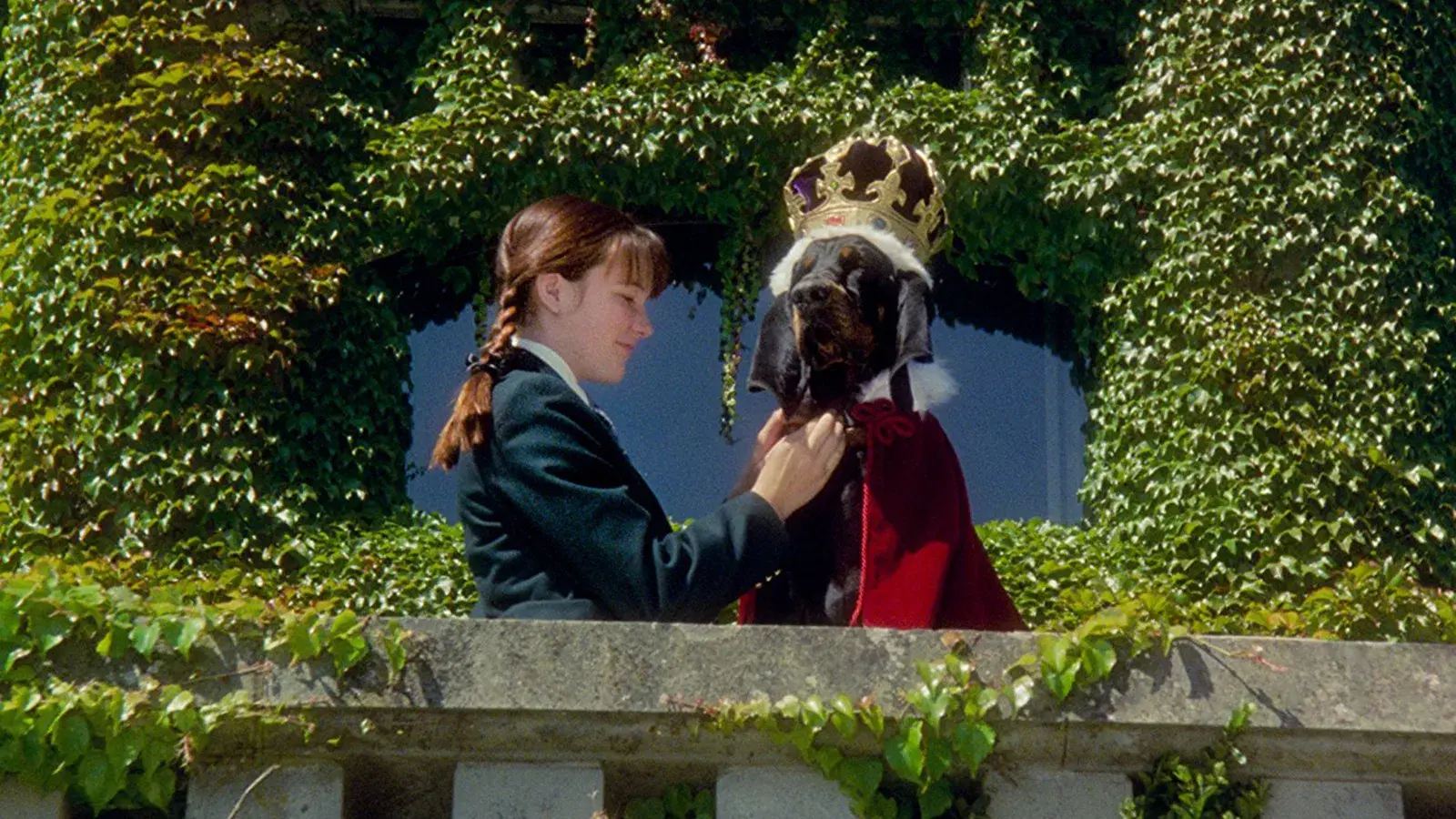 As Aventuras de Hubert, O Cão Herdeiro