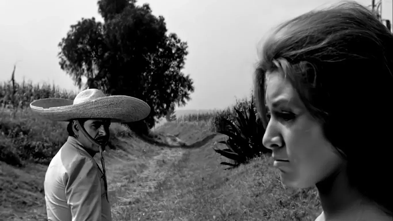 Cruces Sobre El Yermo