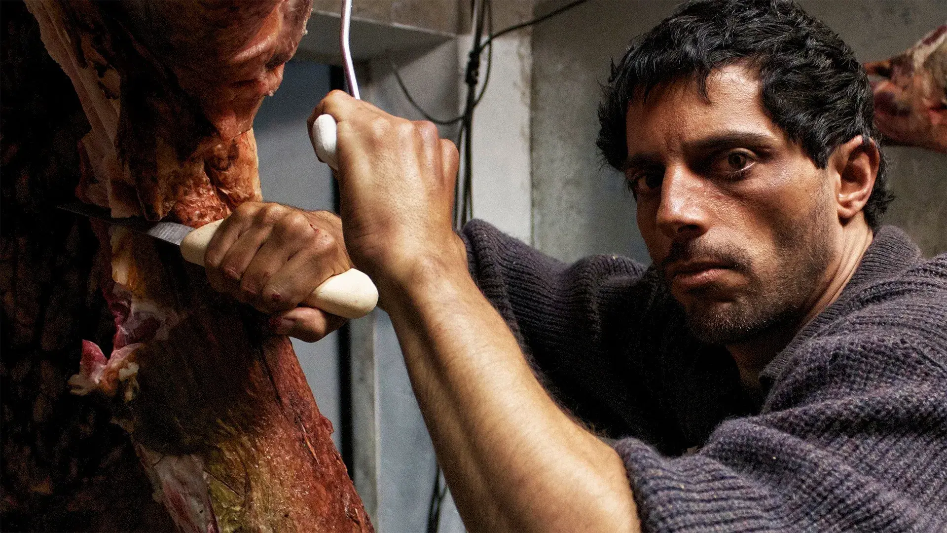 O Patrão: Radiografia de um Crime