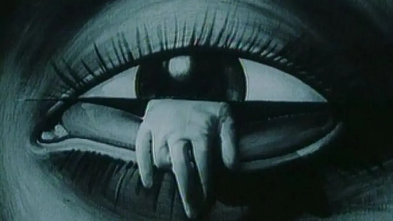 O Mundo Esquecido das Luvas