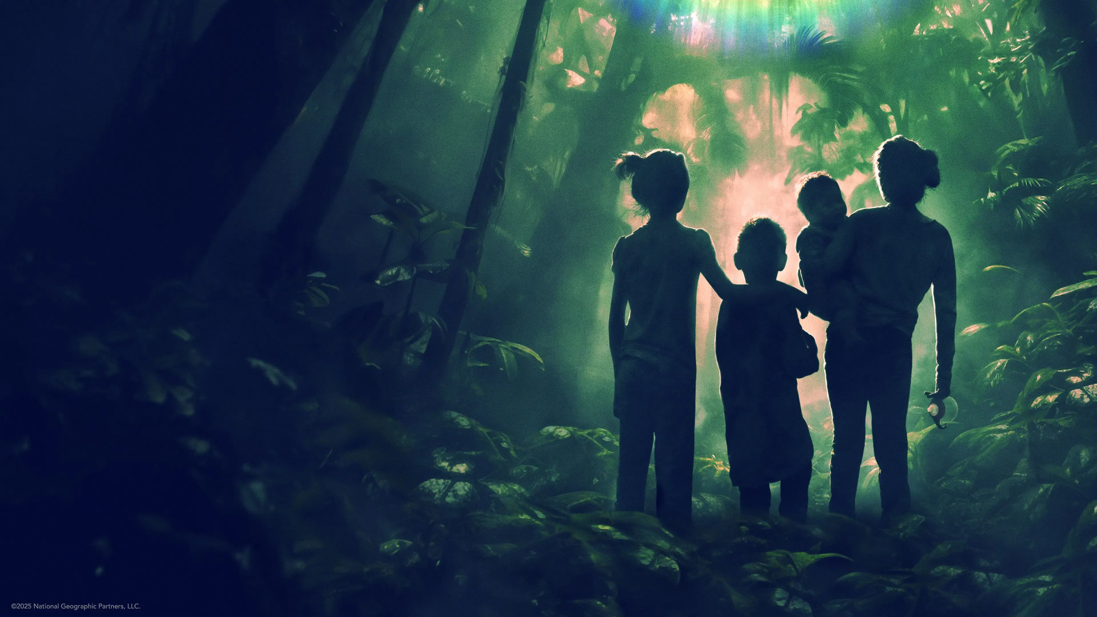 Perdidos na Amazônia