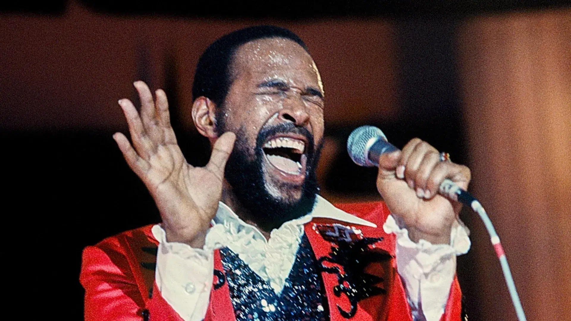 Marvin Gaye - Greatest Hits Live in '76