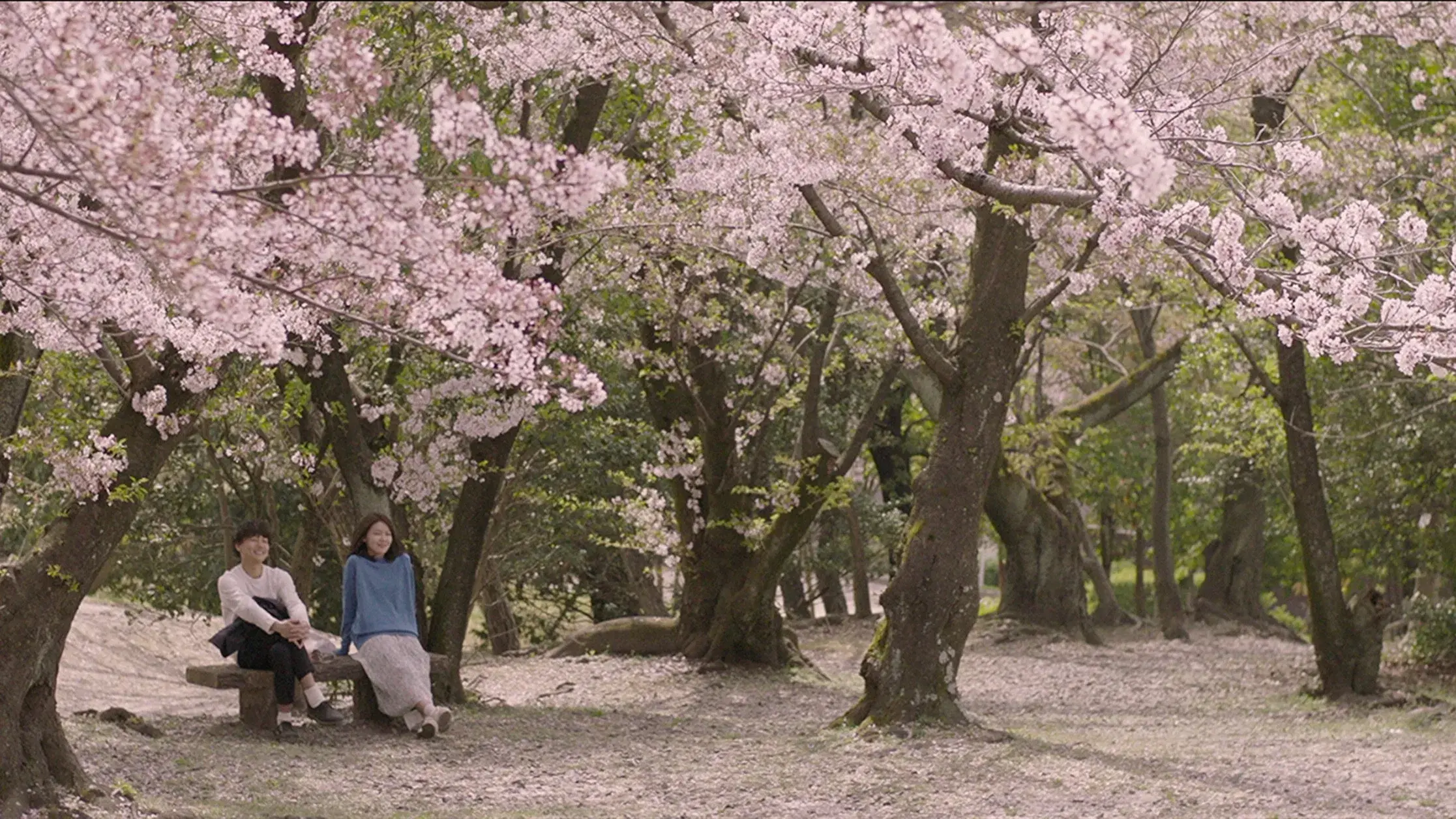 막다른 골목의 추억