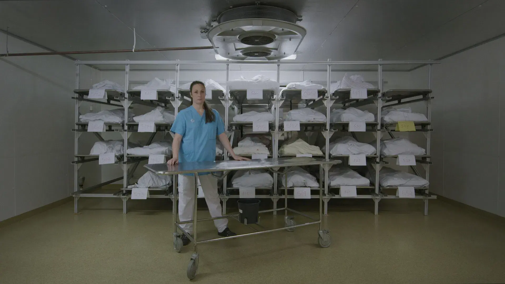 Samtidigt på Jorden