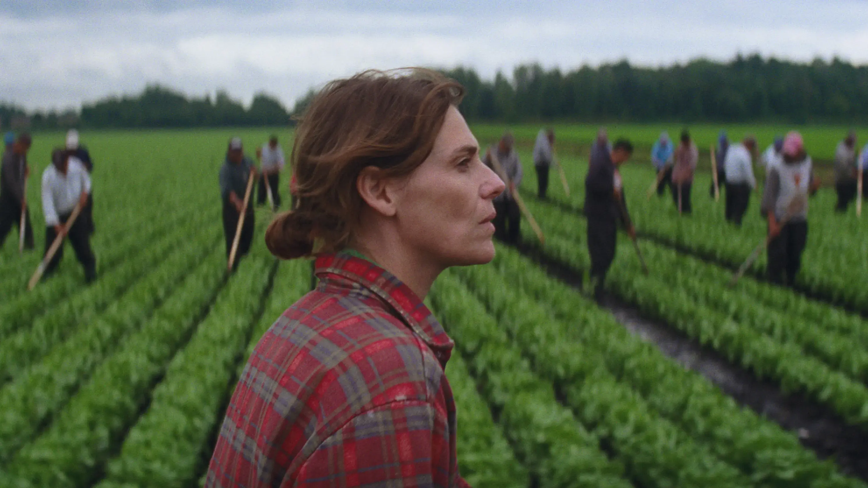 Os Pássaros Bêbados