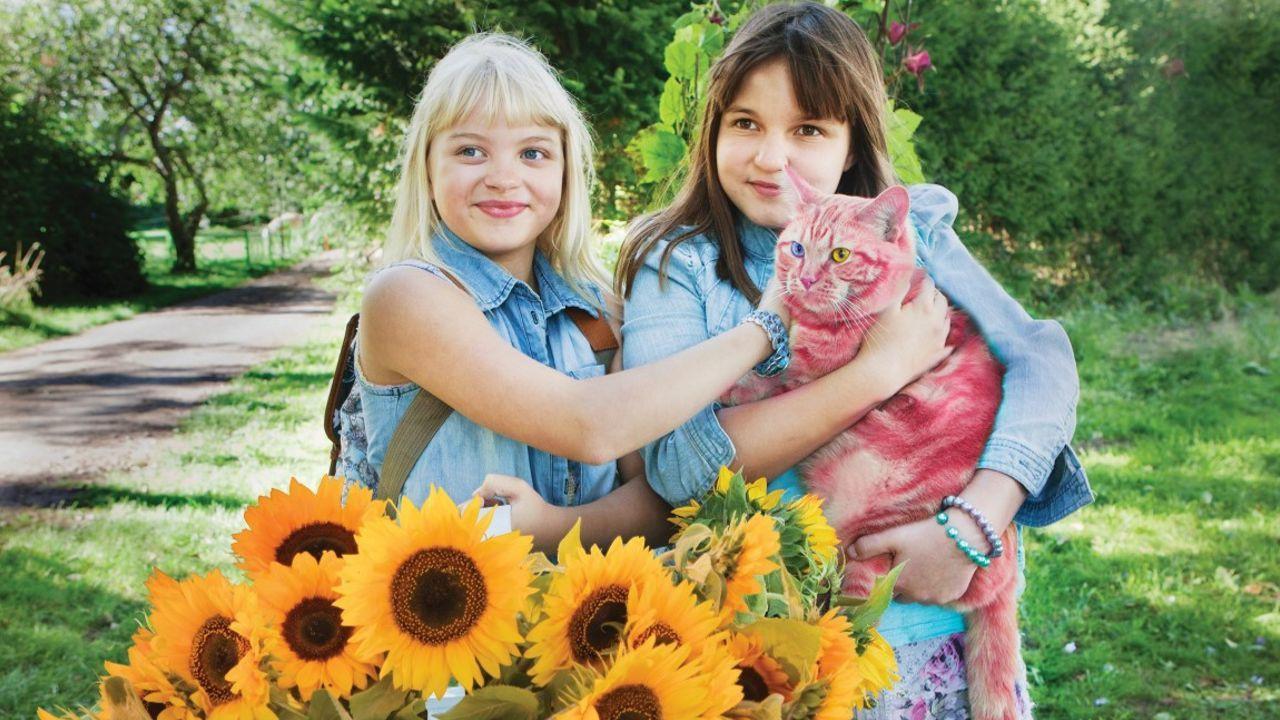 Jill e Joy e o Segredo do Orfanato