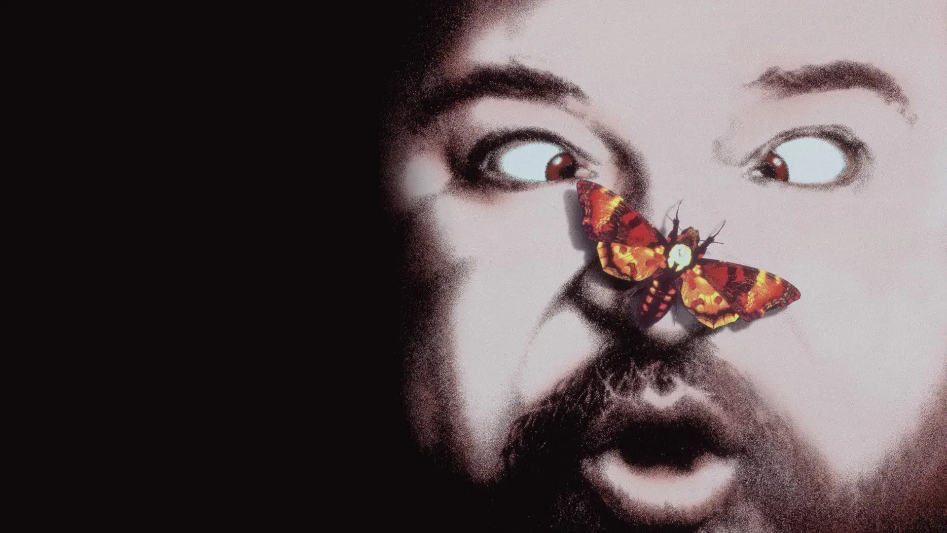 Il silenzio dei prosciutti