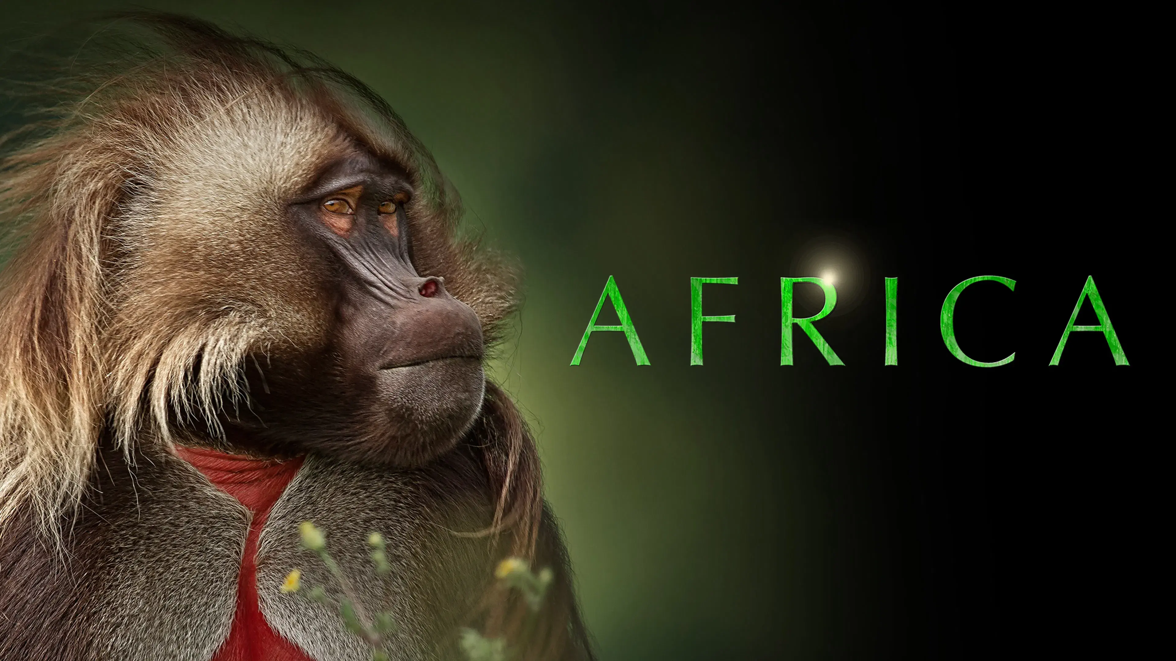 África