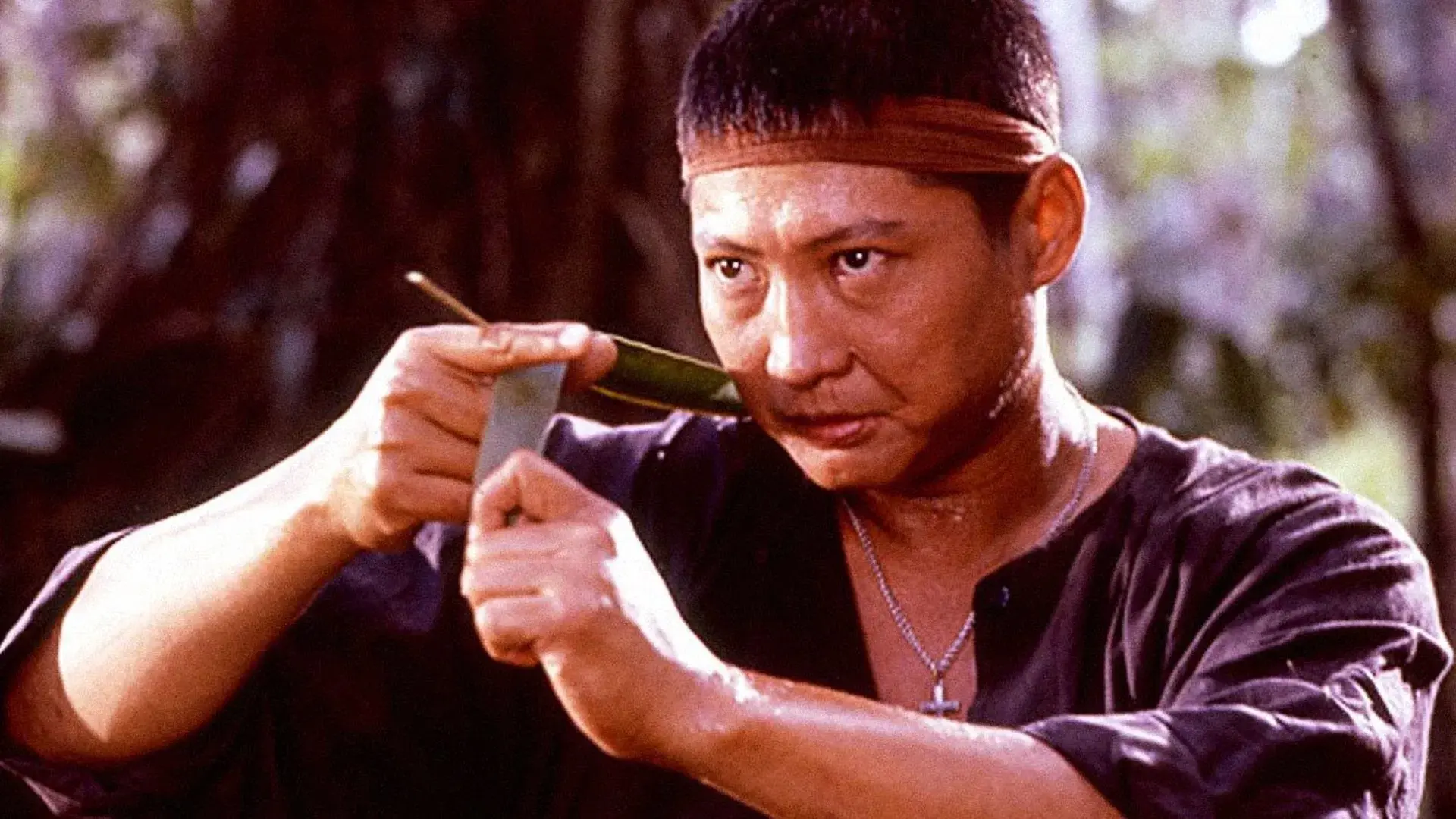 Os Condores do Oriente