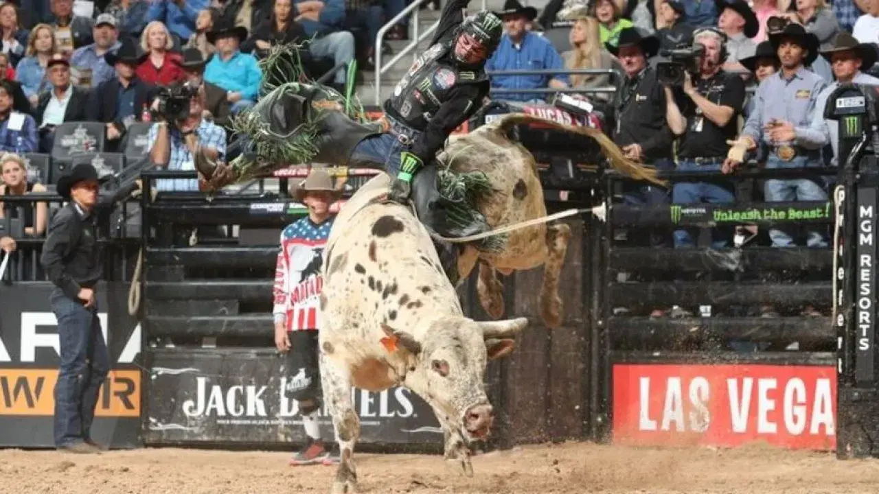 Fearless – 8 Segundos para a Glória